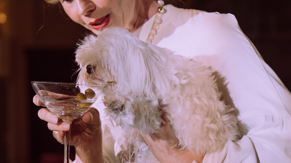 Dhaval Bhanushali tweet media