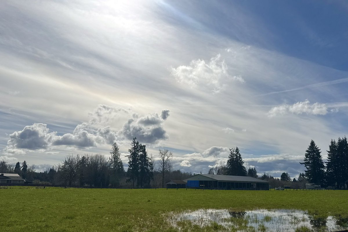 clowdmaxxing tweet media