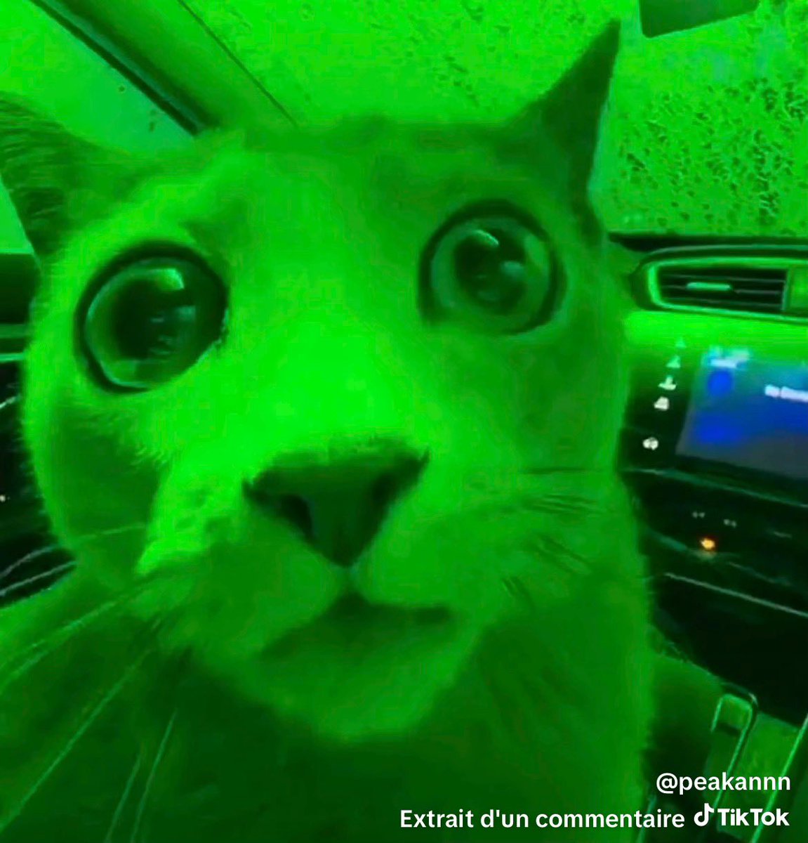 Persey ⭐️ tweet media