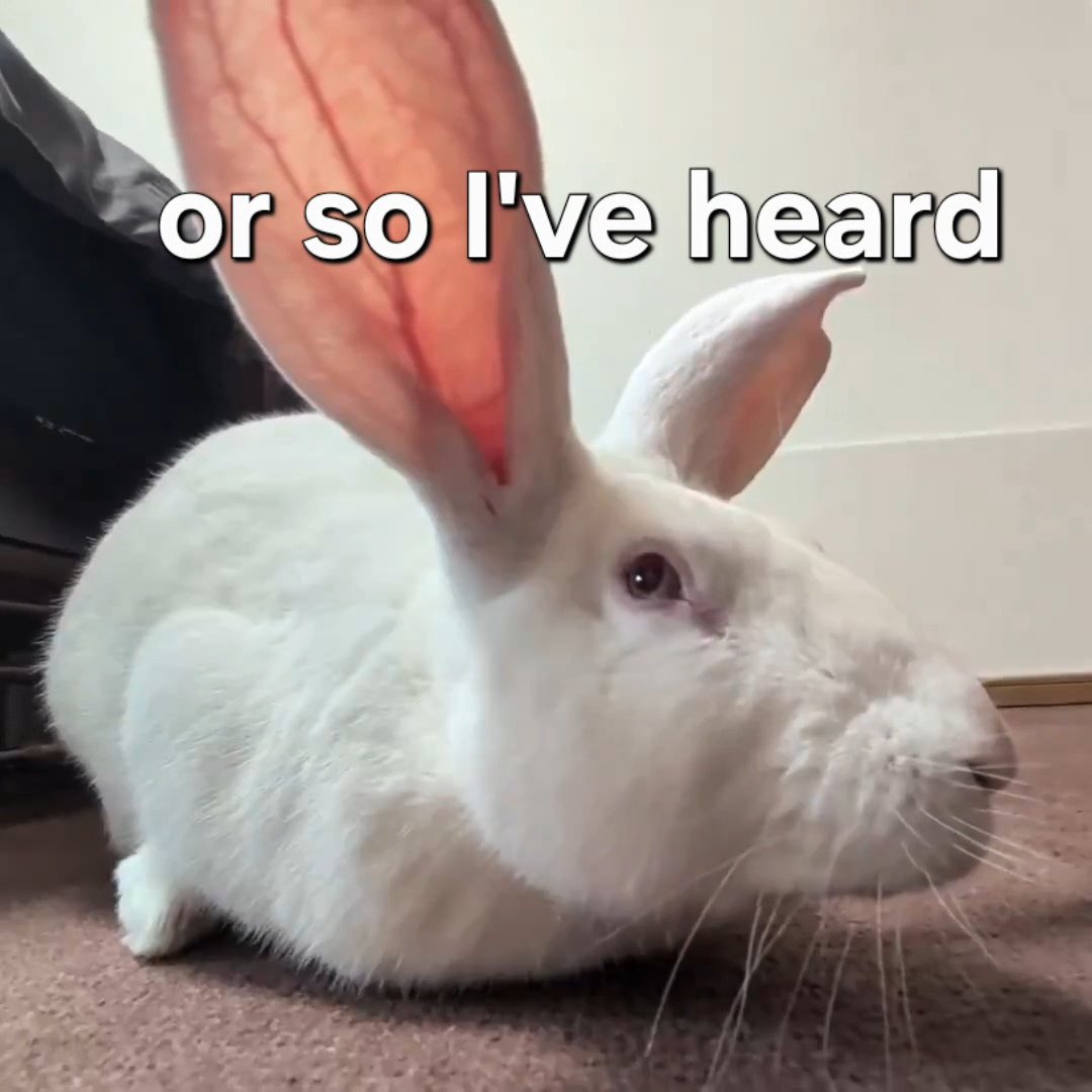 Yakub of America tweet media