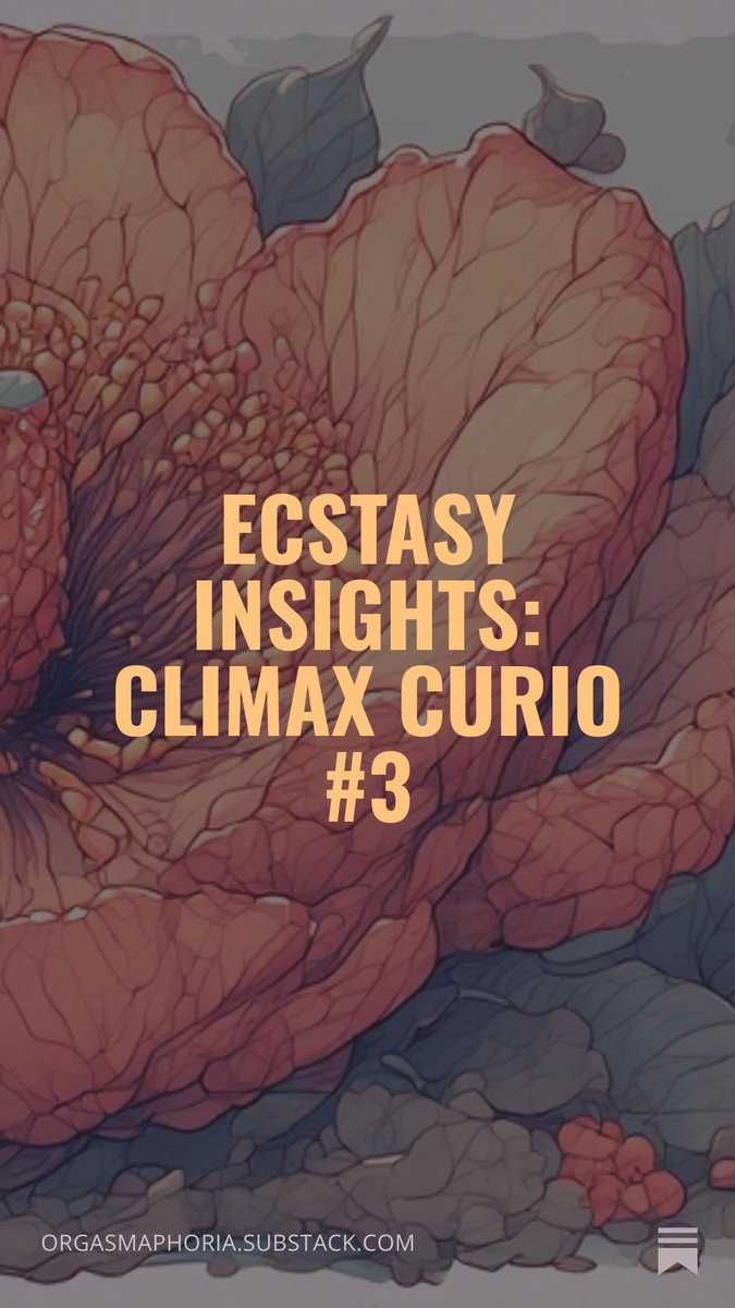 AmandaPeter tweet media