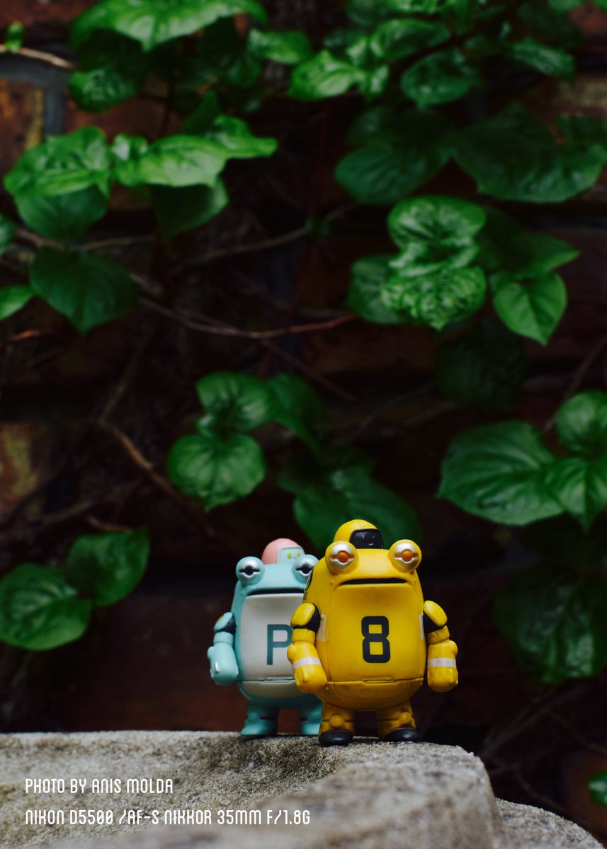 anis-molda tweet media