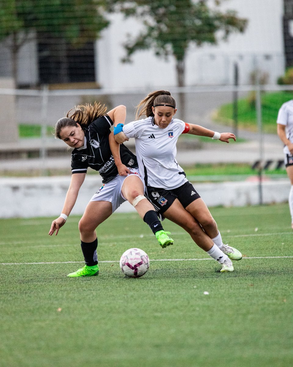 ColoColoFem's tweet photo. Sub 16 | ¡𝐎𝐓𝐑𝐀 𝐕𝐈𝐂𝐓𝐎𝐑𝐈𝐀 𝐌𝐀́𝐒! 👏🏻⚪️⚫️

Las dirigidas por Guillermo Bello vencieron 6️⃣-0️⃣ a Santiago Morning en la cancha sintética del Monumental 🏟️💥

Créditos: 📸 Sebastián Ramírez - @imsebastianeliass

#VamosLasAlbas
#Historicas
#VamosPorTodo https://t.co/HVXDPtLhPx