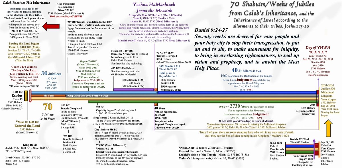 Zeek's Critique: Seeking Truth🔎 tweet media