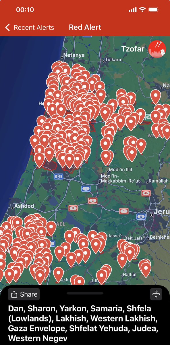 Jenny Havemann tweet media