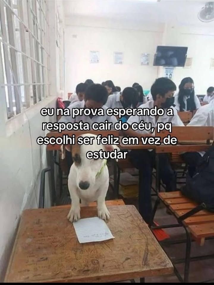 Pagina lixo (@paginalixo1) on Twitter photo 