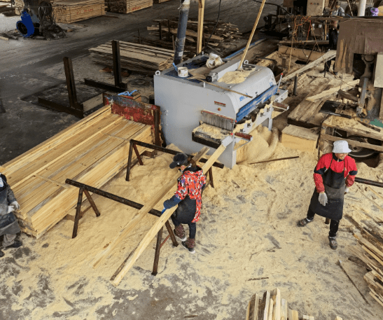 lelanie catalan tweet media