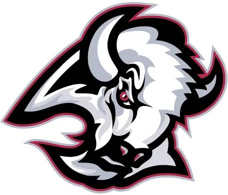 Buffalo Origin Story tweet media