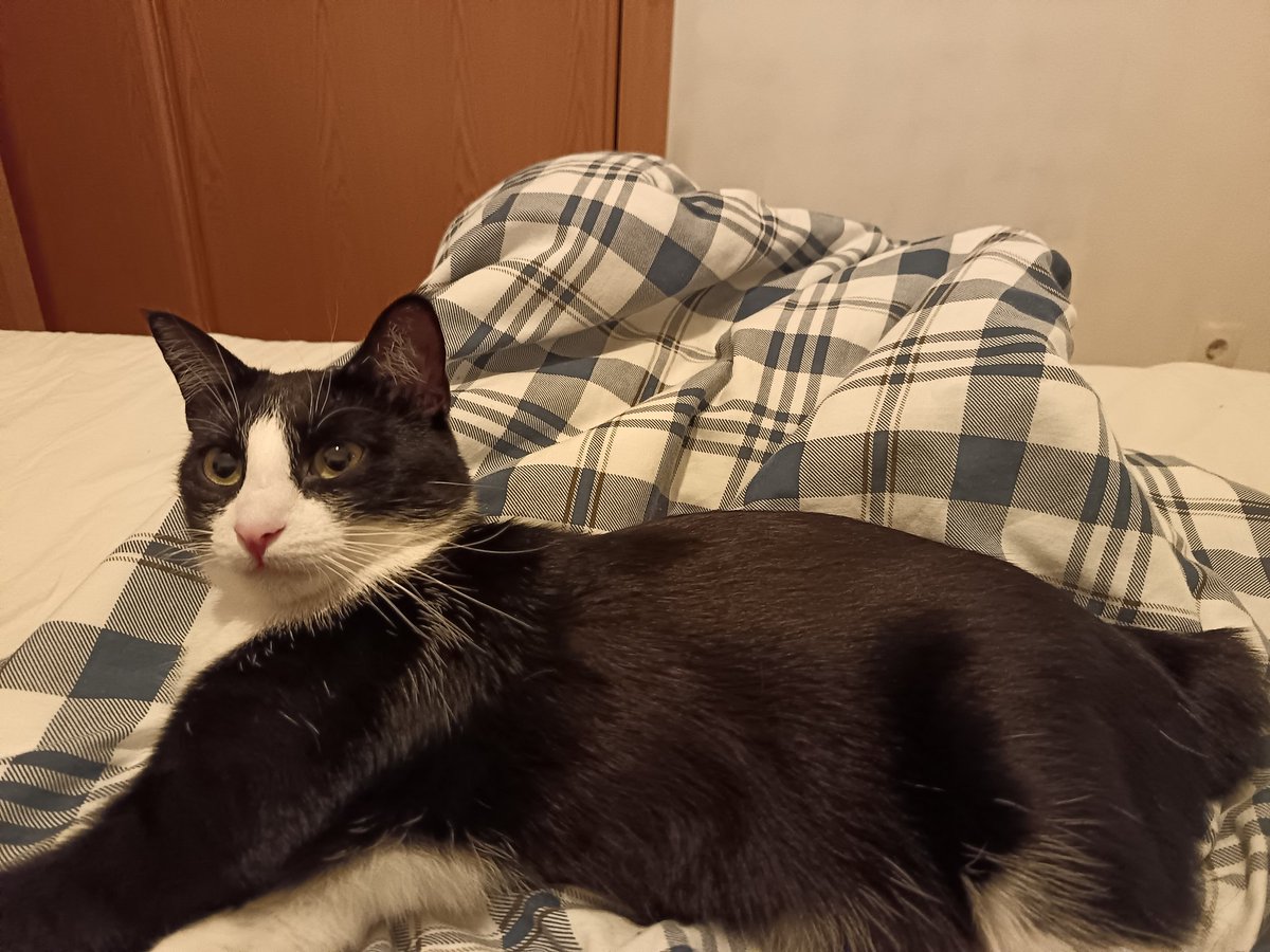 lu 🗡️ tweet media