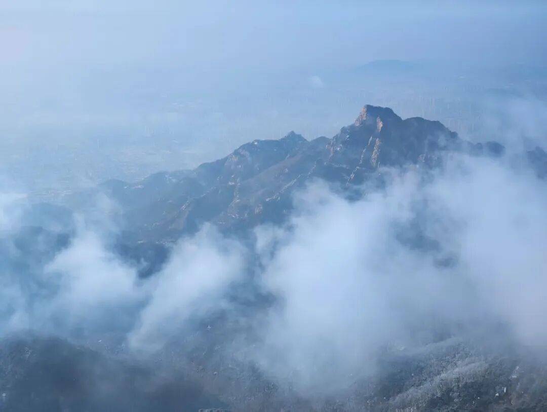 Nelson Morin tweet media