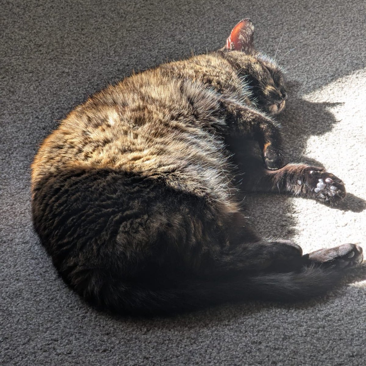 Psychofren tweet media