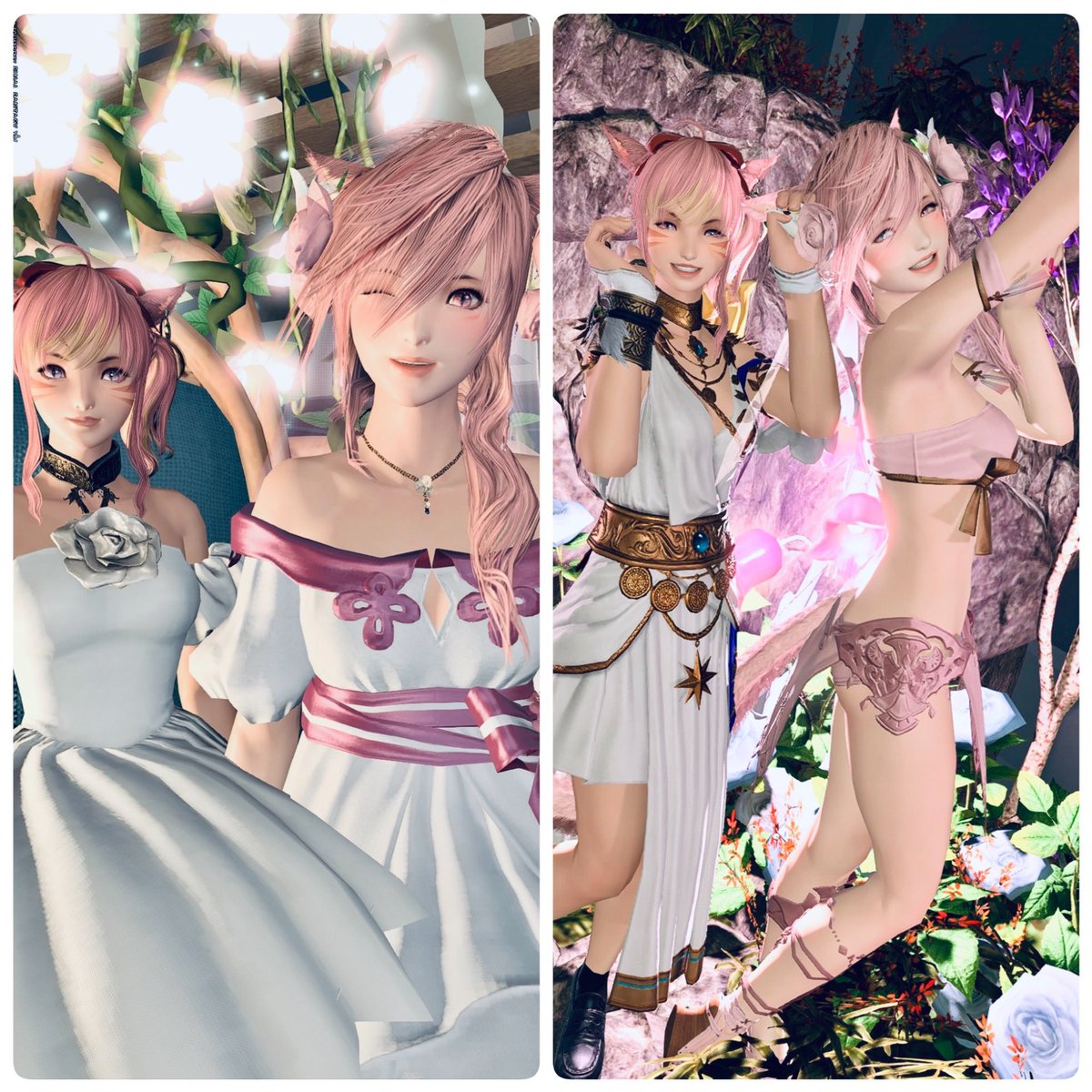 みぅp 🌸 7ｷｬﾗ 7.4 ｸﾘ済 tweet media