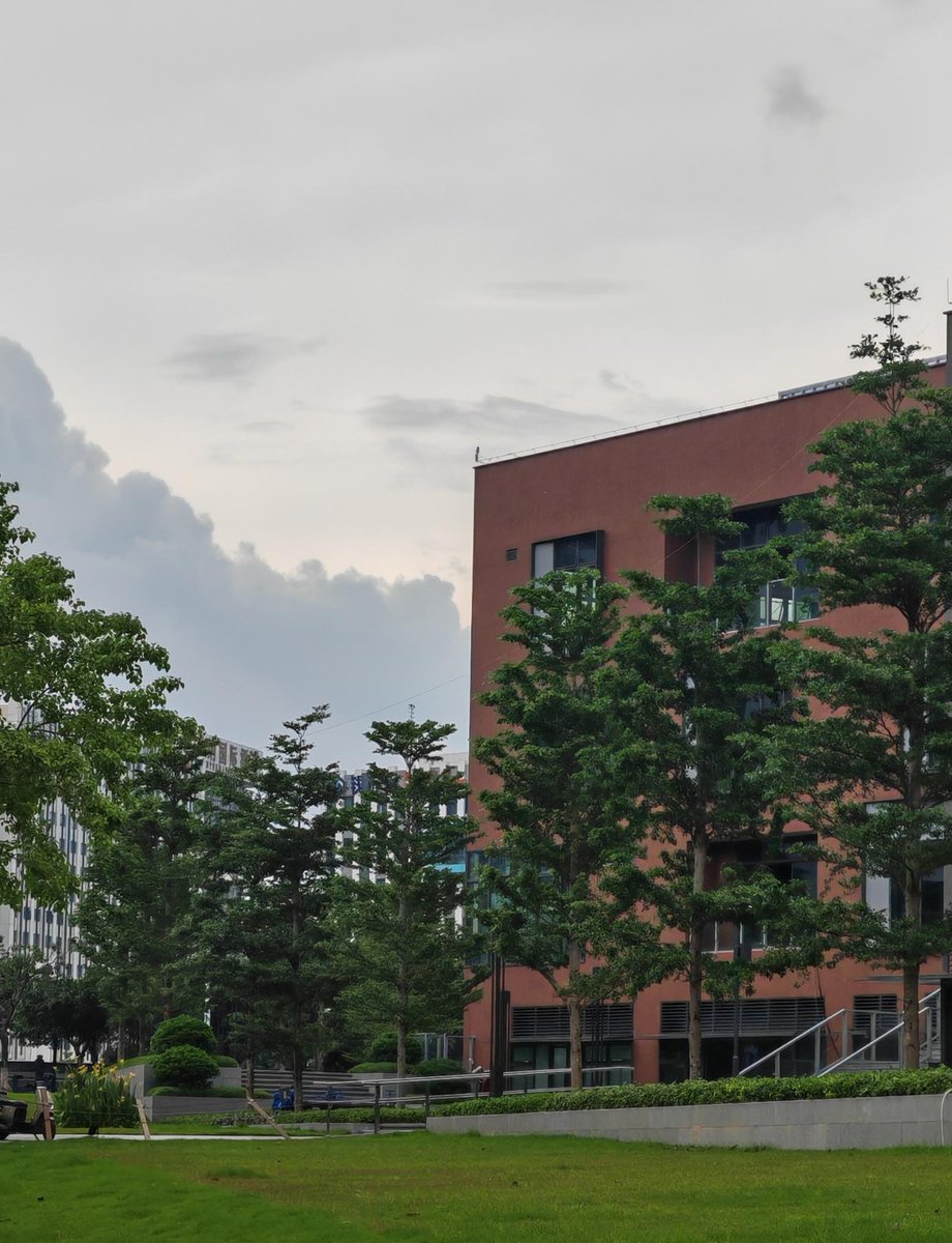 yanina rios tweet media