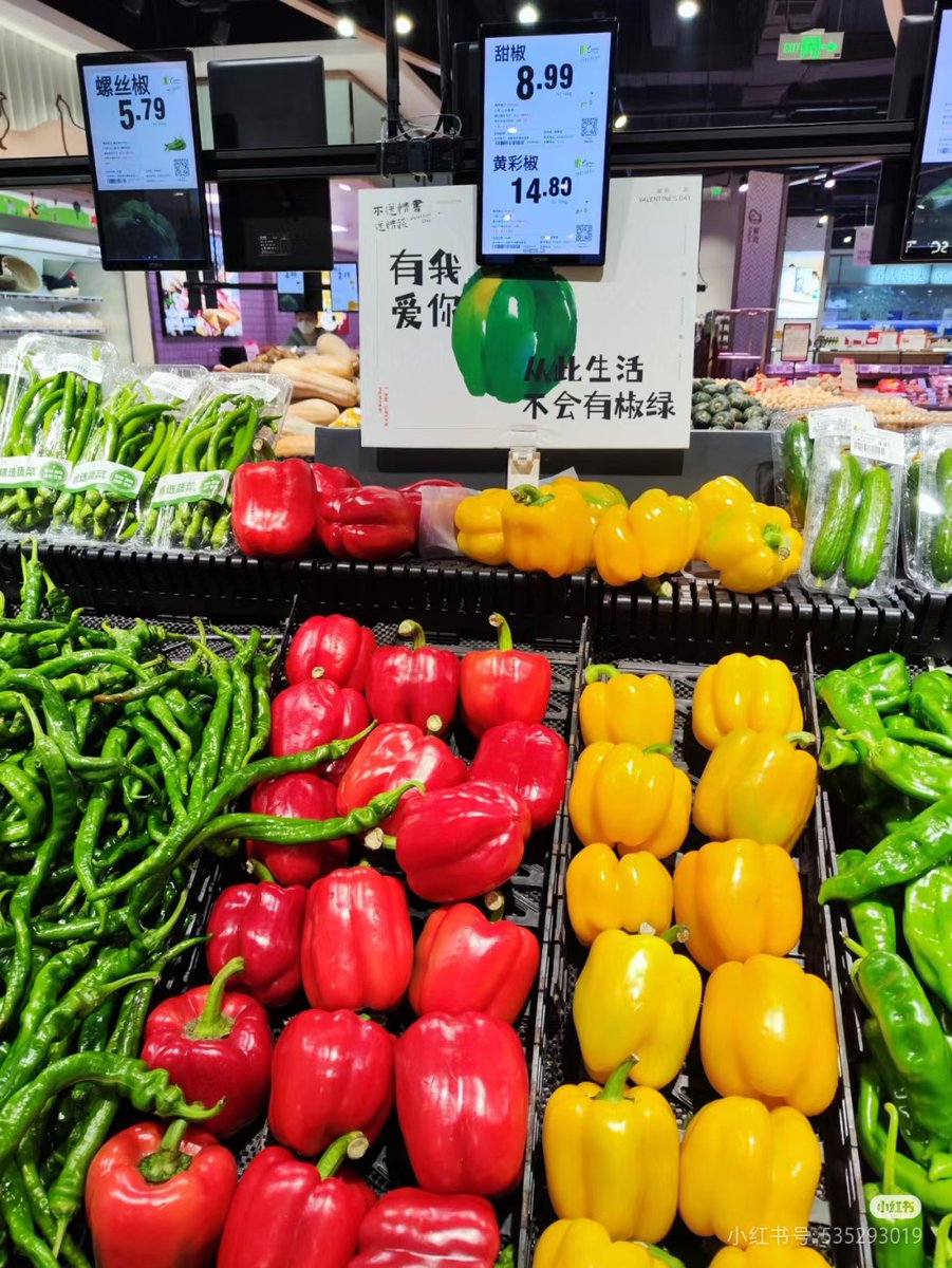 Екатерина Шишита tweet media