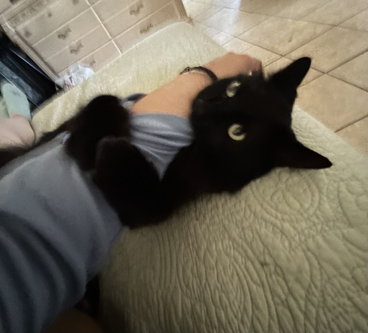 ⁴⁴⁴ 🝮 tweet media