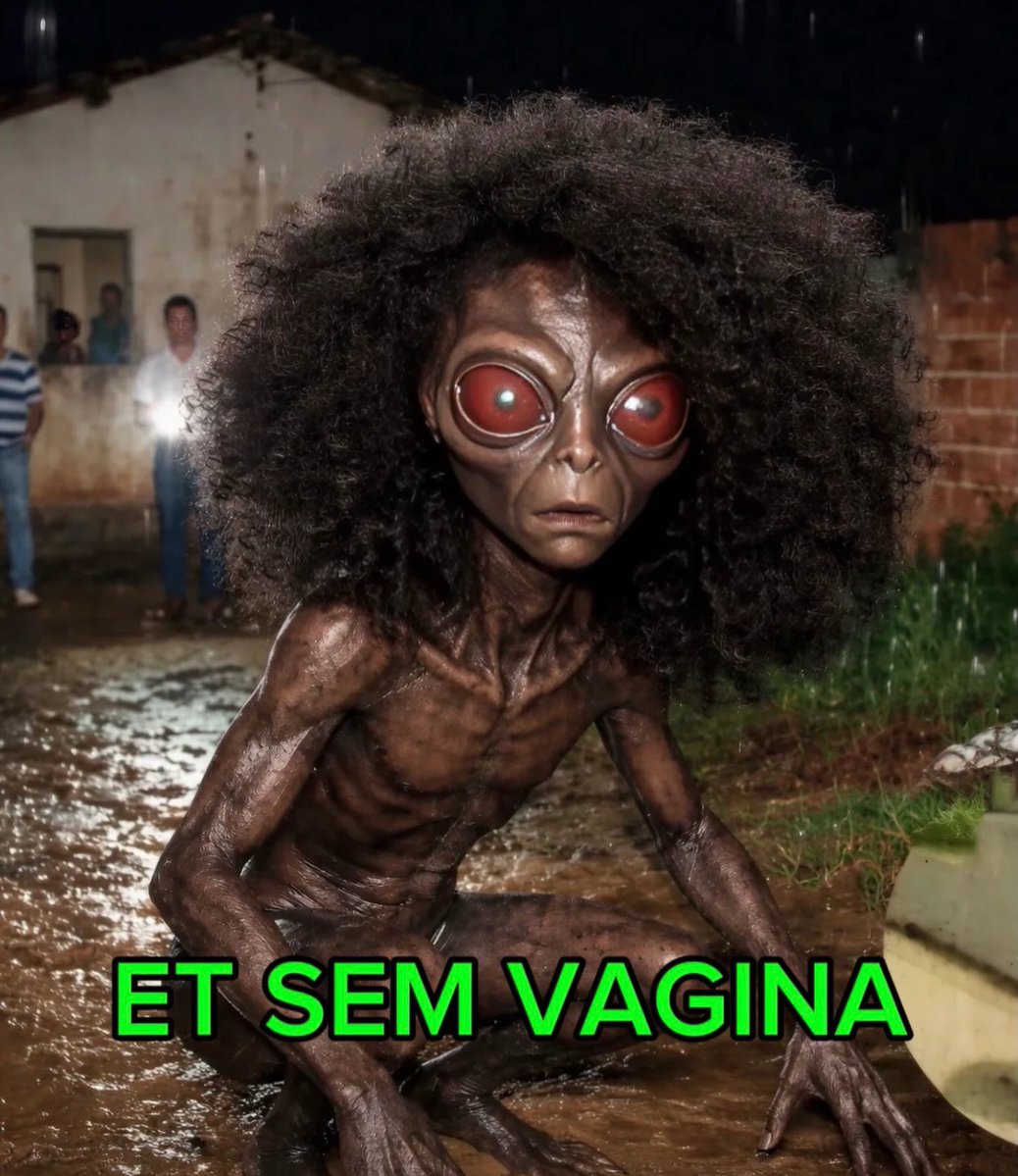 John Alfredo 🇧🇷 🇺🇸 tweet media