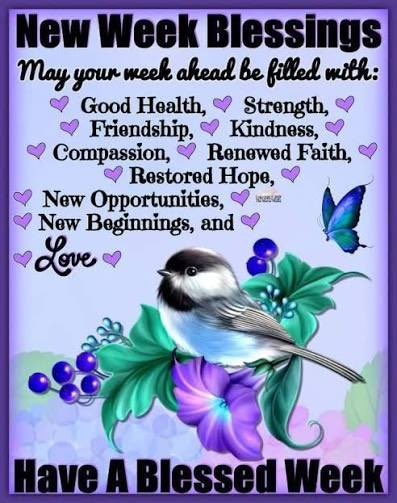 Jeff Hagen tweet media