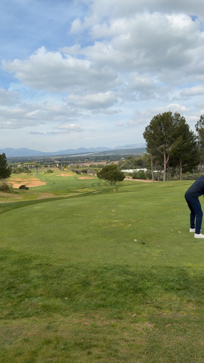 BradburyDa18261's tweet image. Spawn point mog #thanksdad