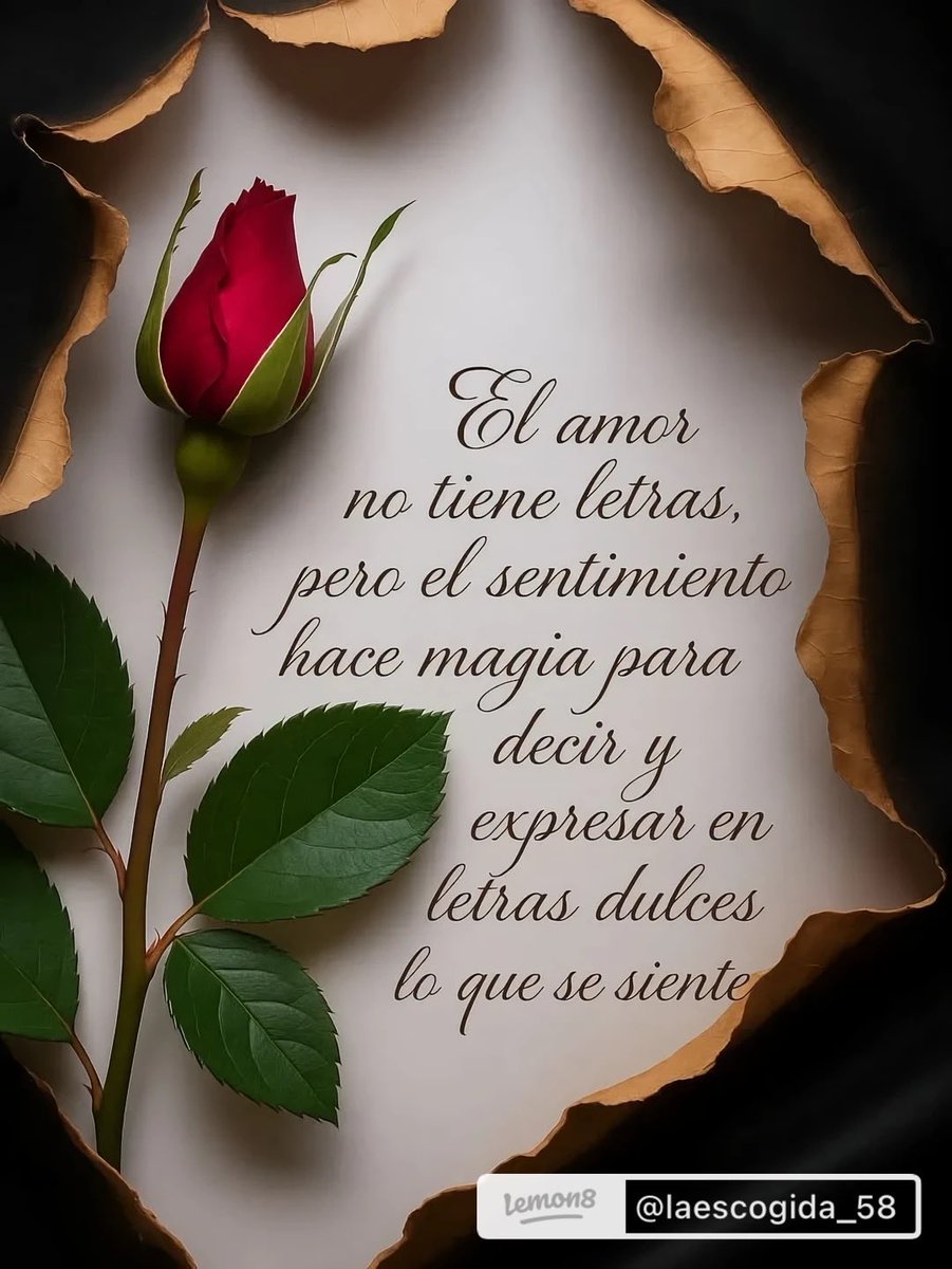 Josefa Depaz tweet media