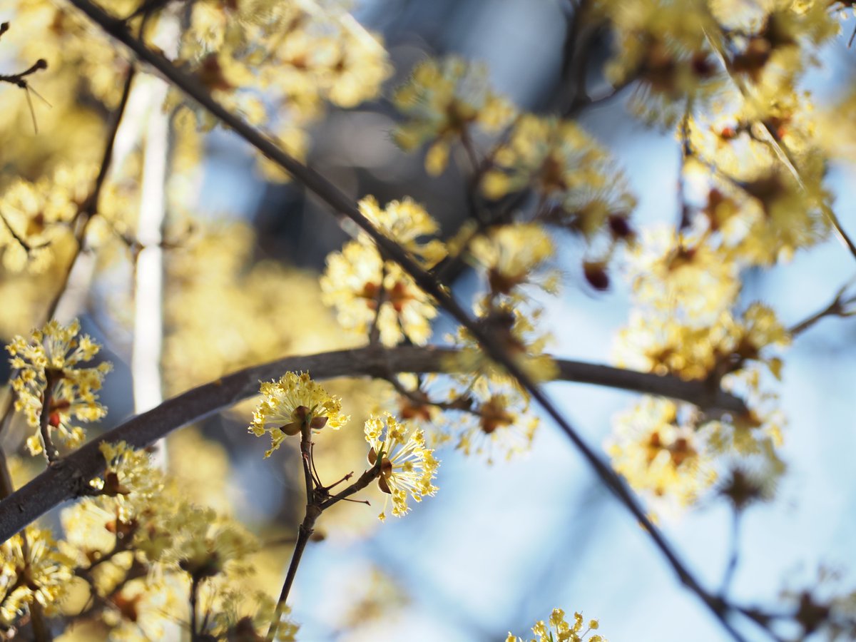 レイン tweet media