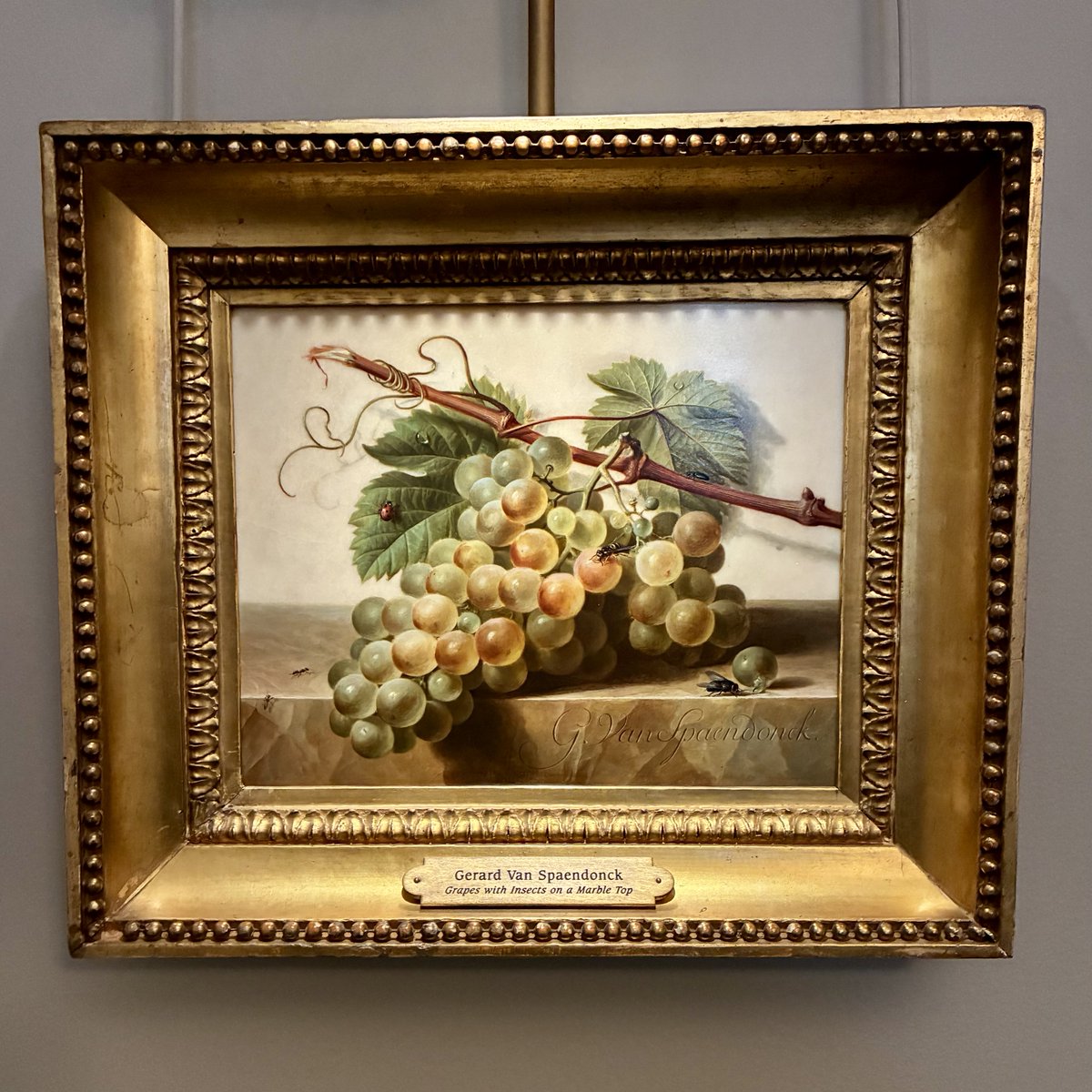 susumu yokota stan account tweet media