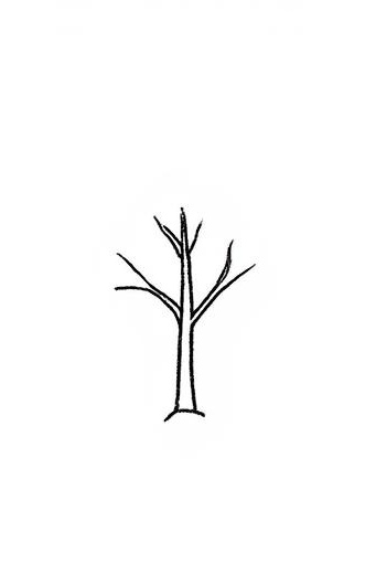 bobbi white tweet media