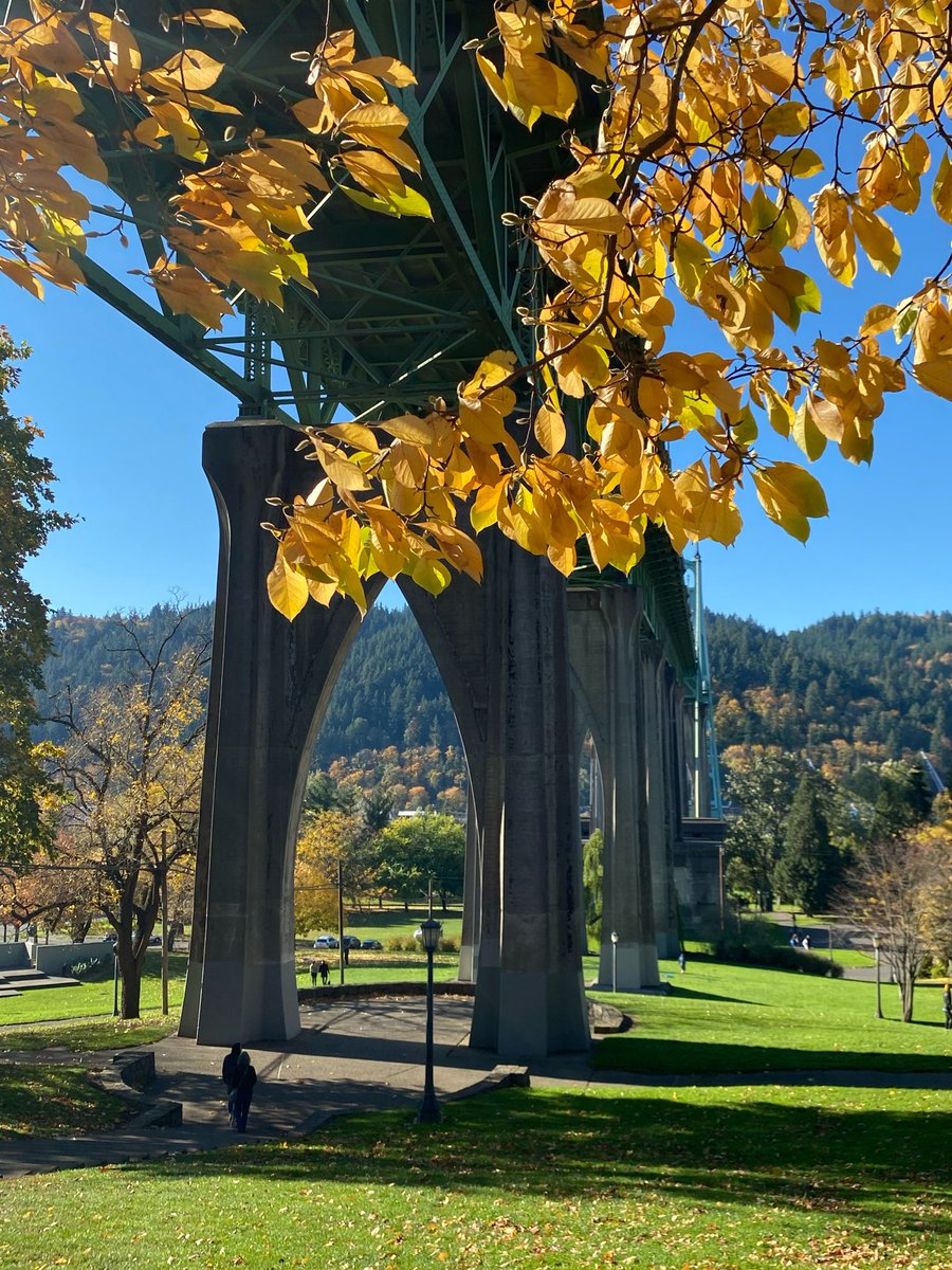 zero dark morrison™️ of A.S.S. 🔞 tweet media