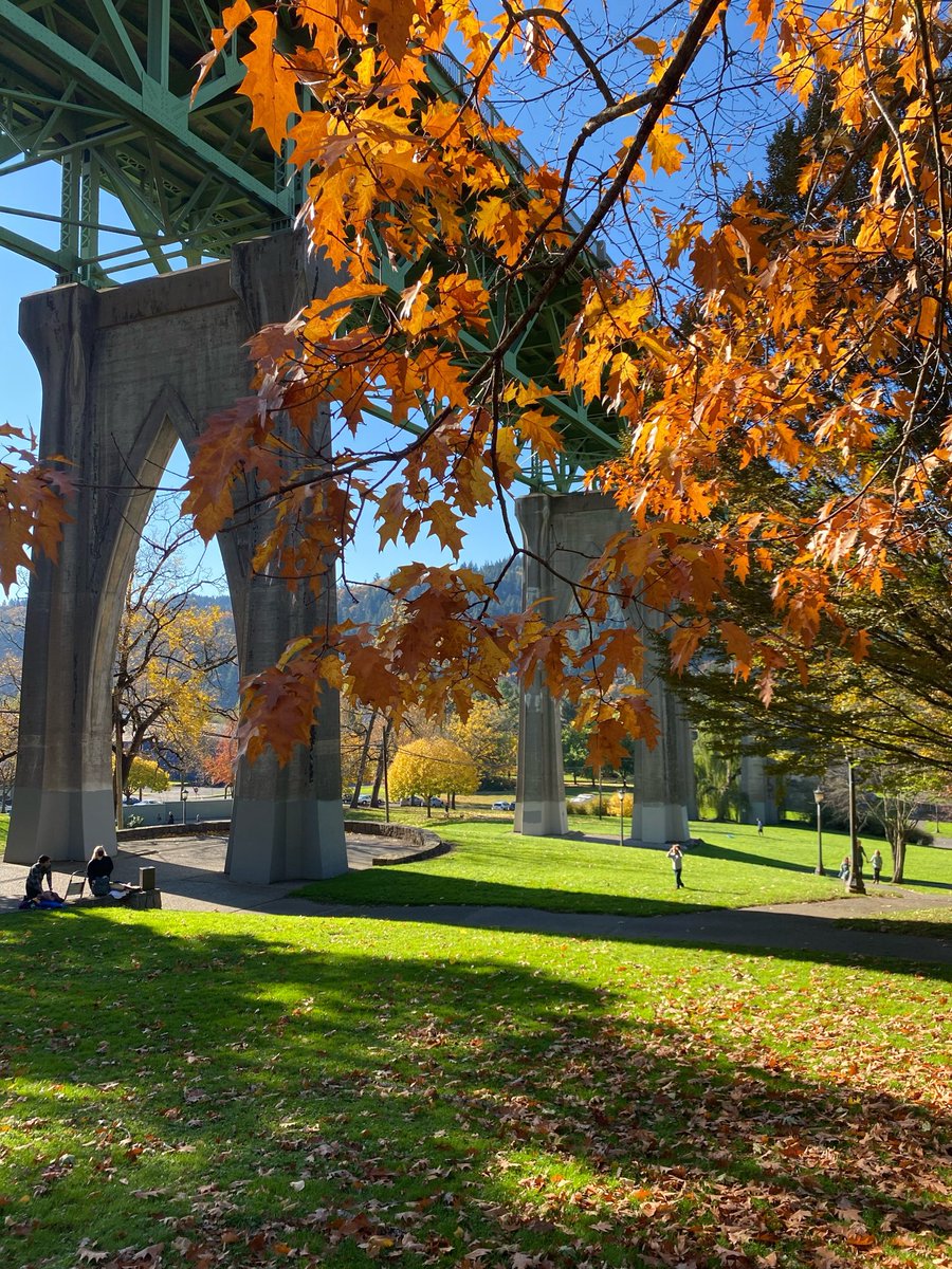 zero dark morrison™️ of A.S.S. 🔞 tweet media