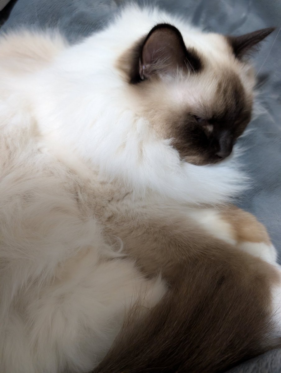 Tomo Kitagawa🐢🐍1.5 Outfit Debut Soon? tweet media