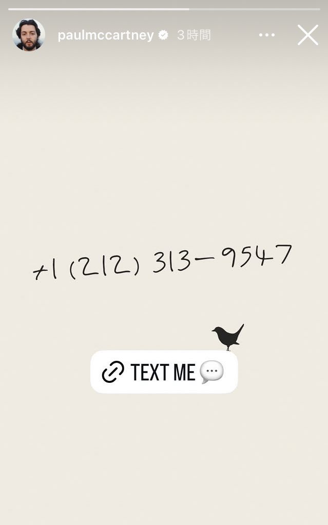 mcsky 🎲🐑 tweet media