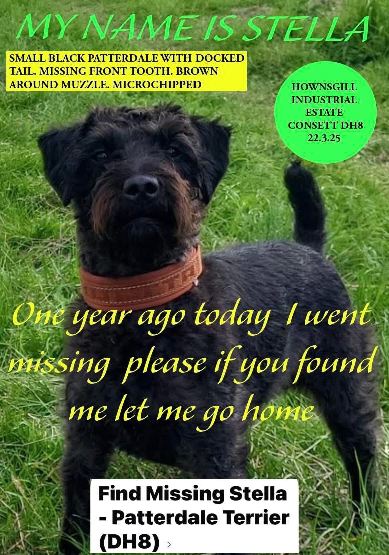 MakeChipsCount to Reunite Pets tweet media