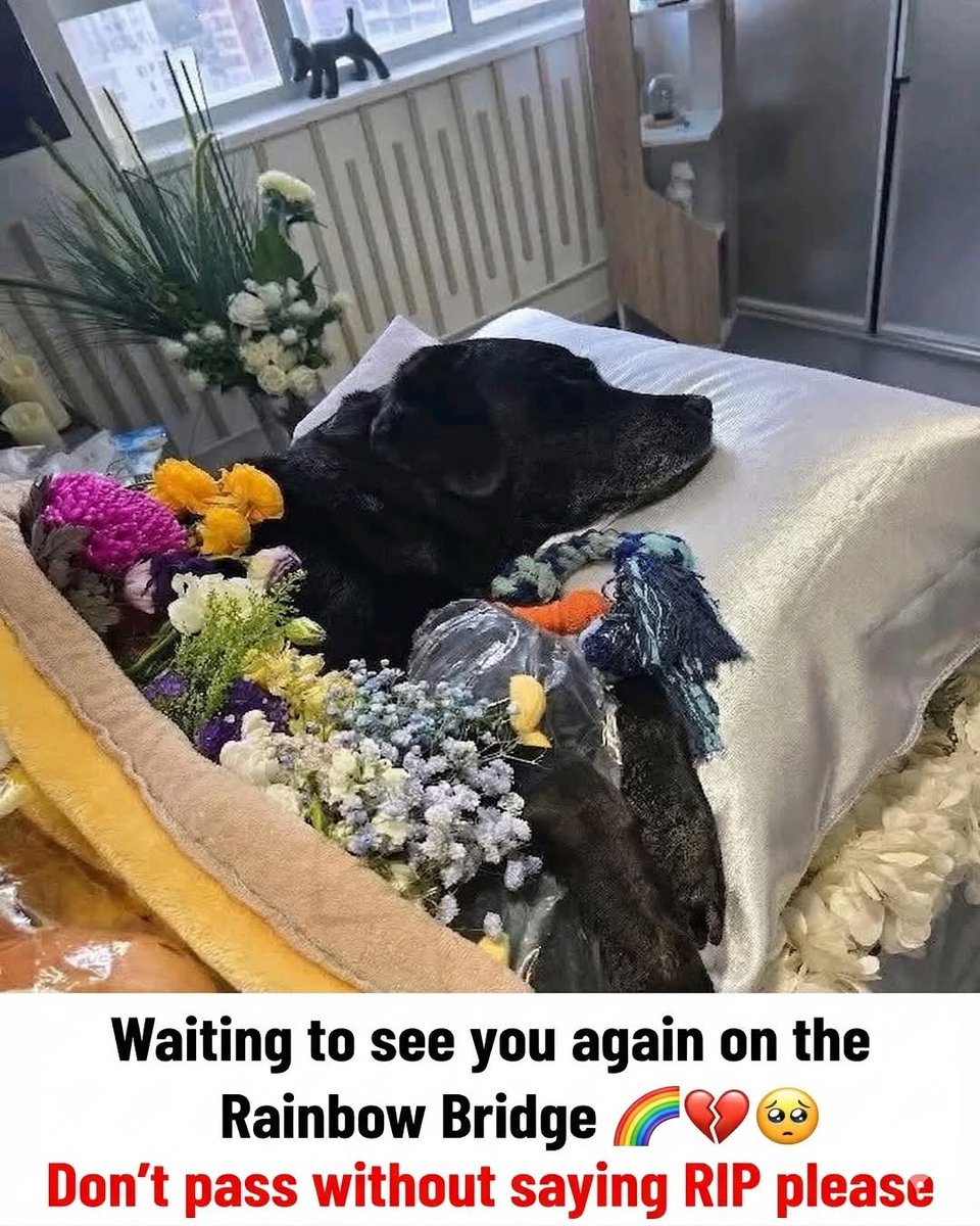 Kristina Bolten tweet media