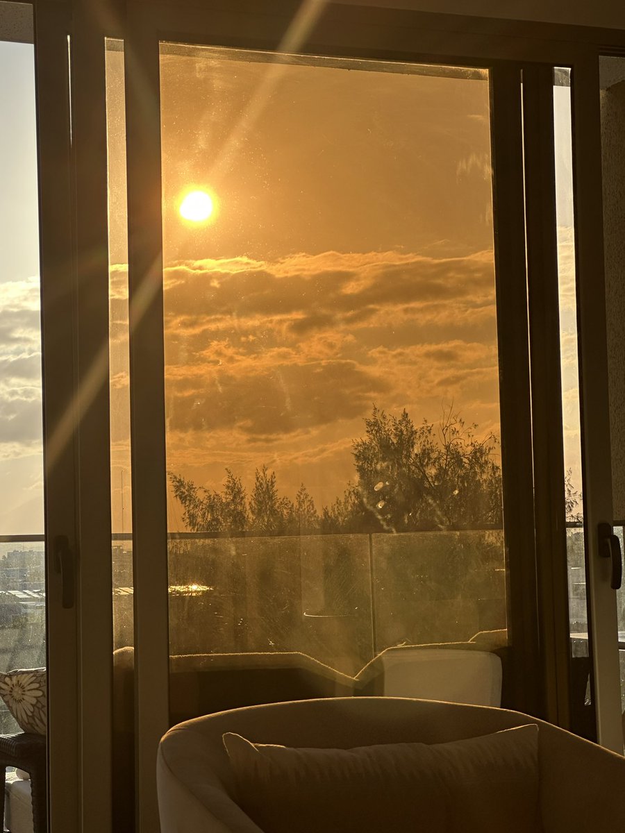 María Curiel tweet media