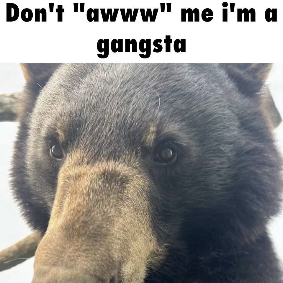 章鱼八珍汤 tweet media