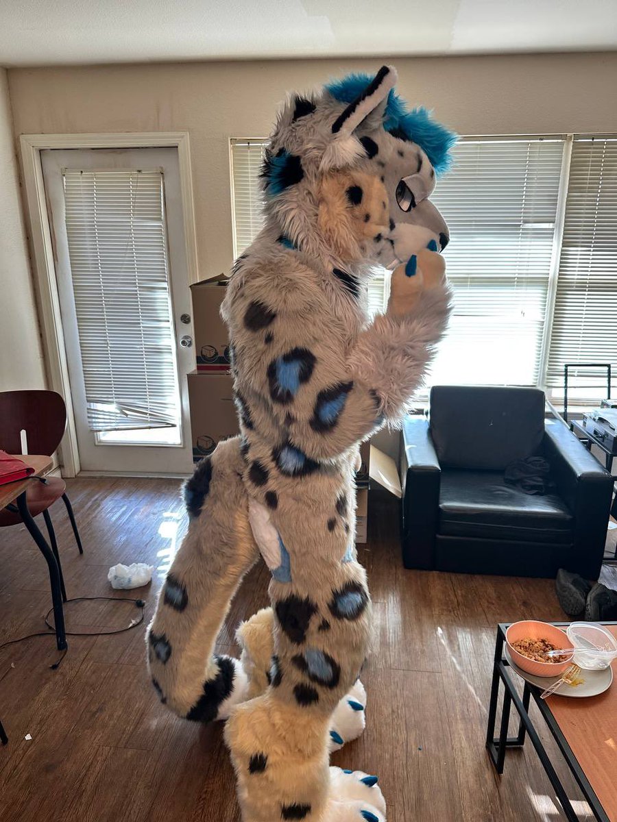 Swifty🔜TFF tweet media