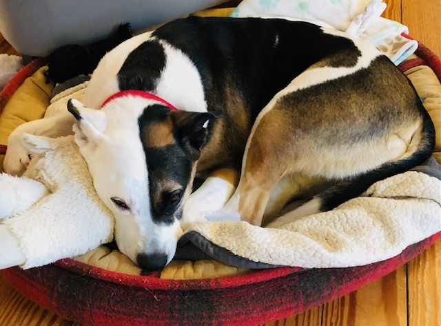 Lisa Burkin tweet media