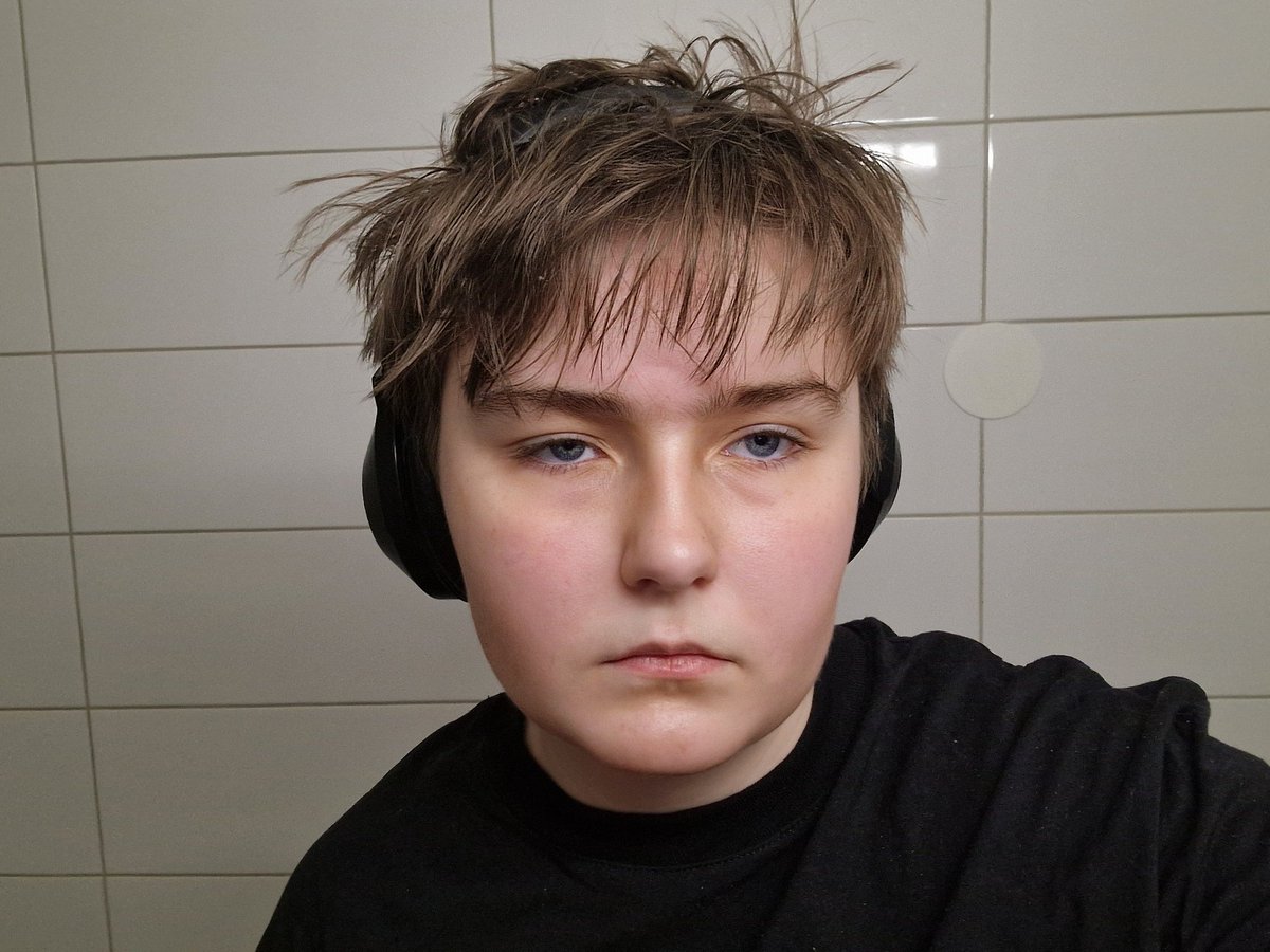 Kiwi Kitties tweet media