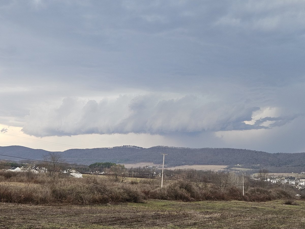 Peyton Simmers tweet media