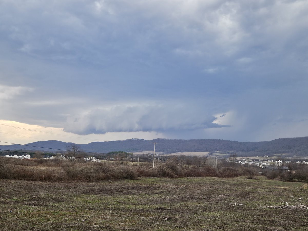 Peyton Simmers tweet media