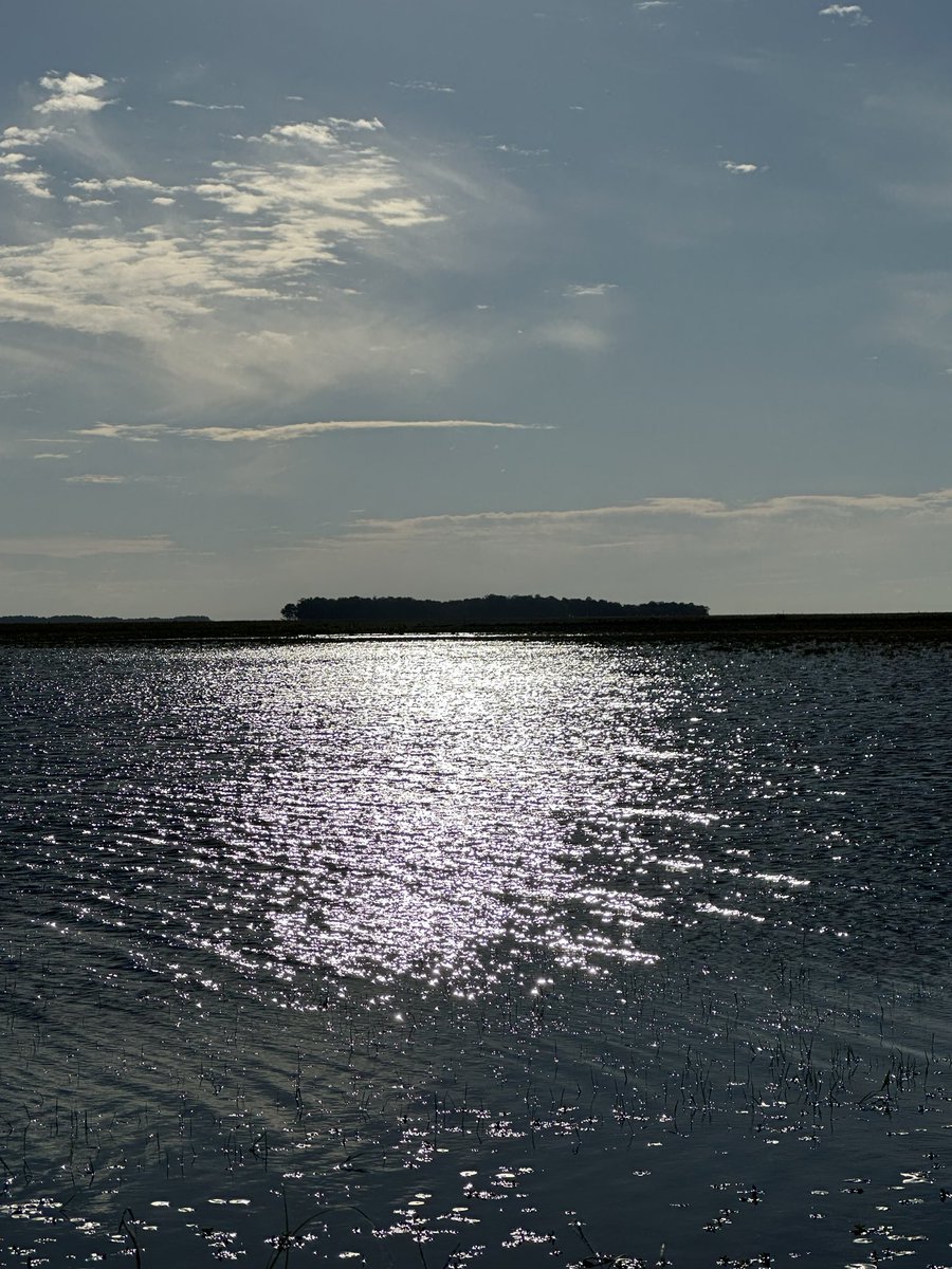 Alfredo Lago tweet media