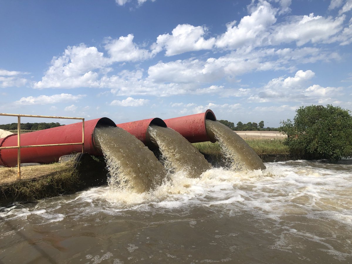 Alfredo Lago tweet media