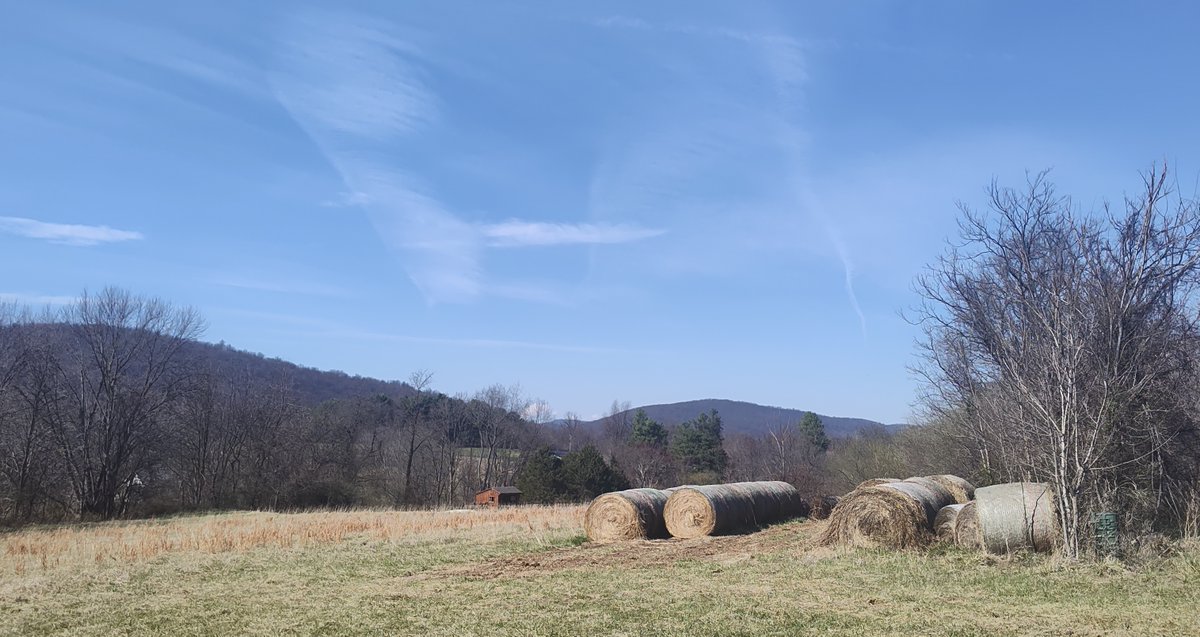 John P. Flannery tweet media