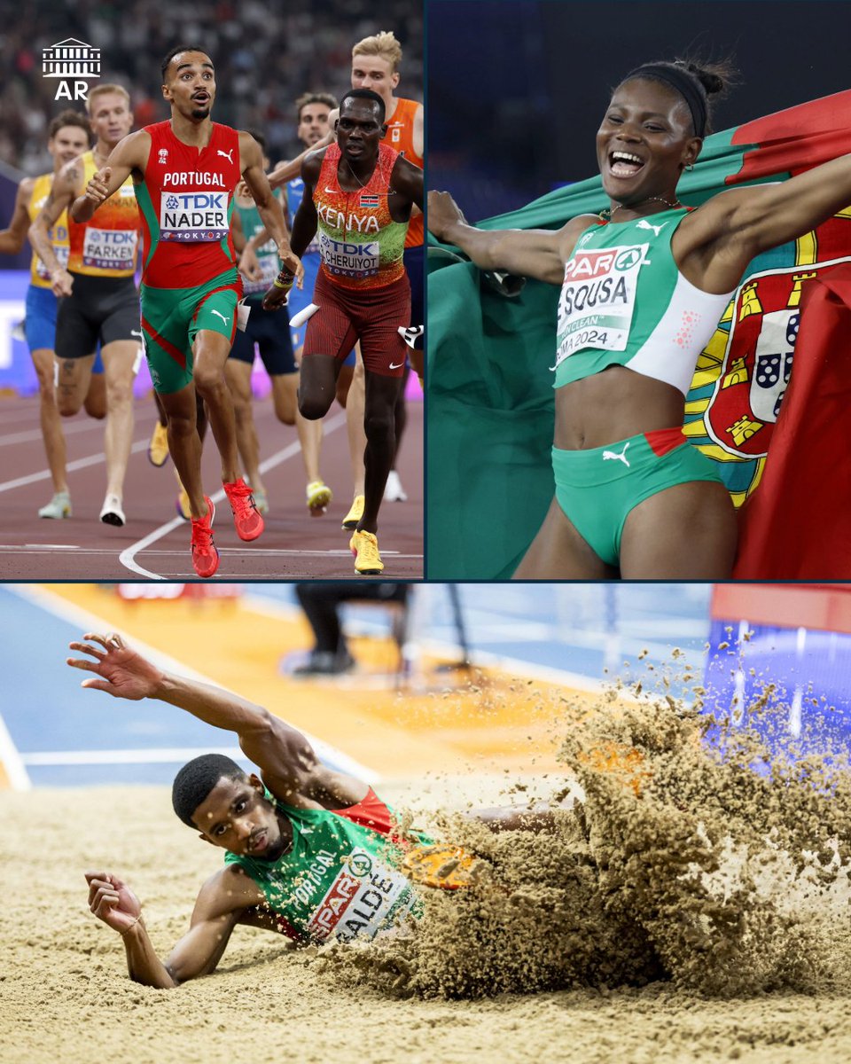 Assembleia da República tweet media