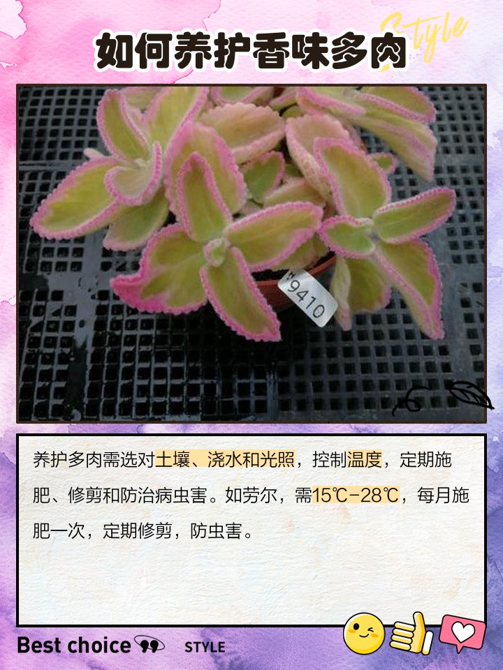 kim hamilton tweet media