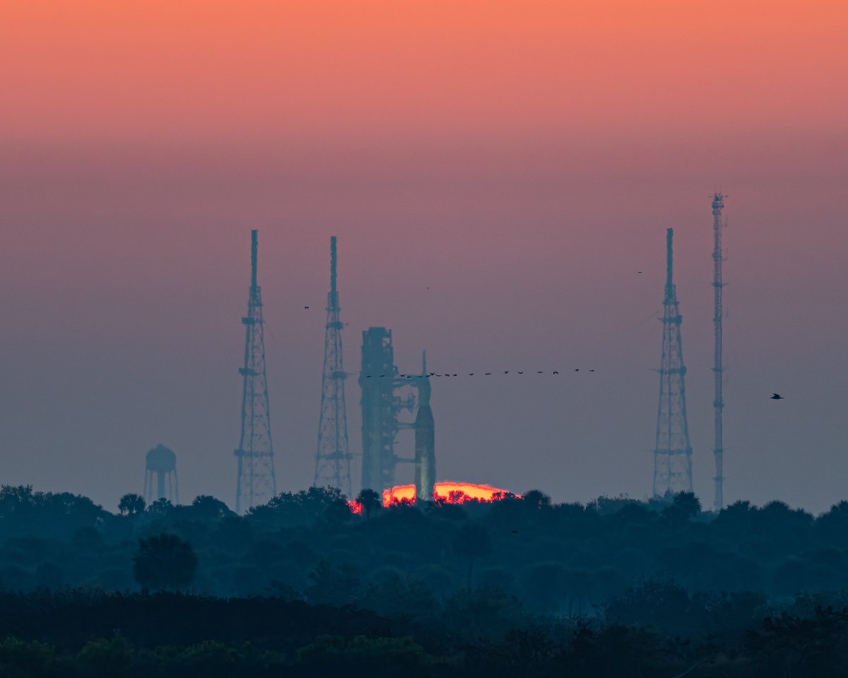 Michael Seeley tweet media