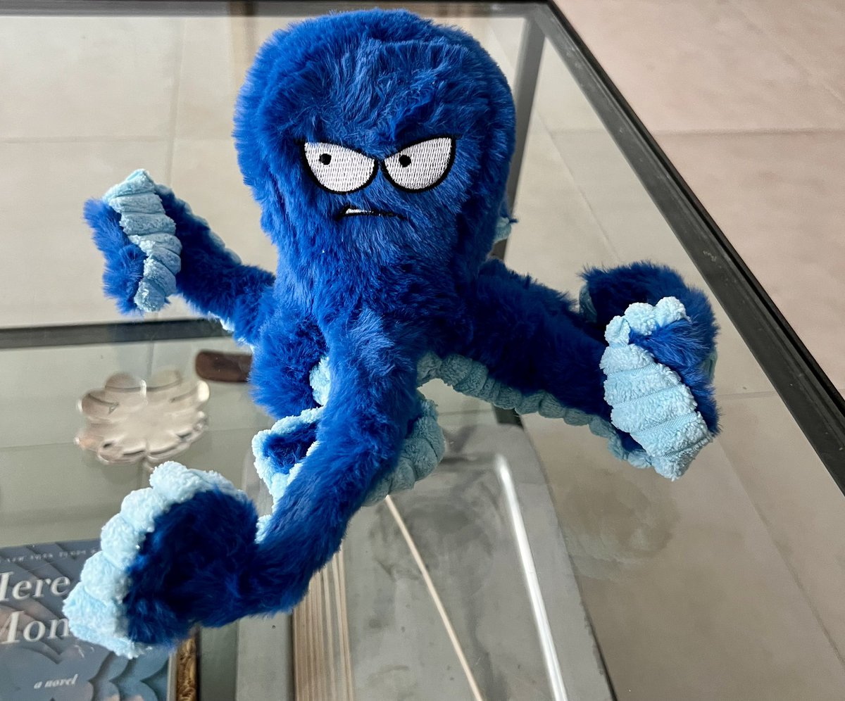 Clotilde Ferry tweet media