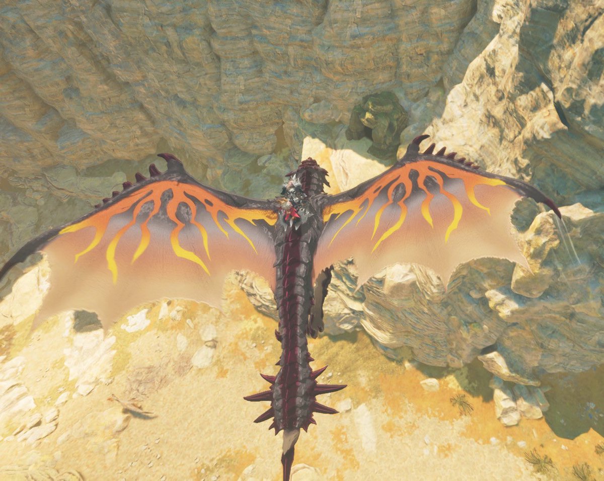 NAO❄️ルナガロンと旅してます🐺 tweet media