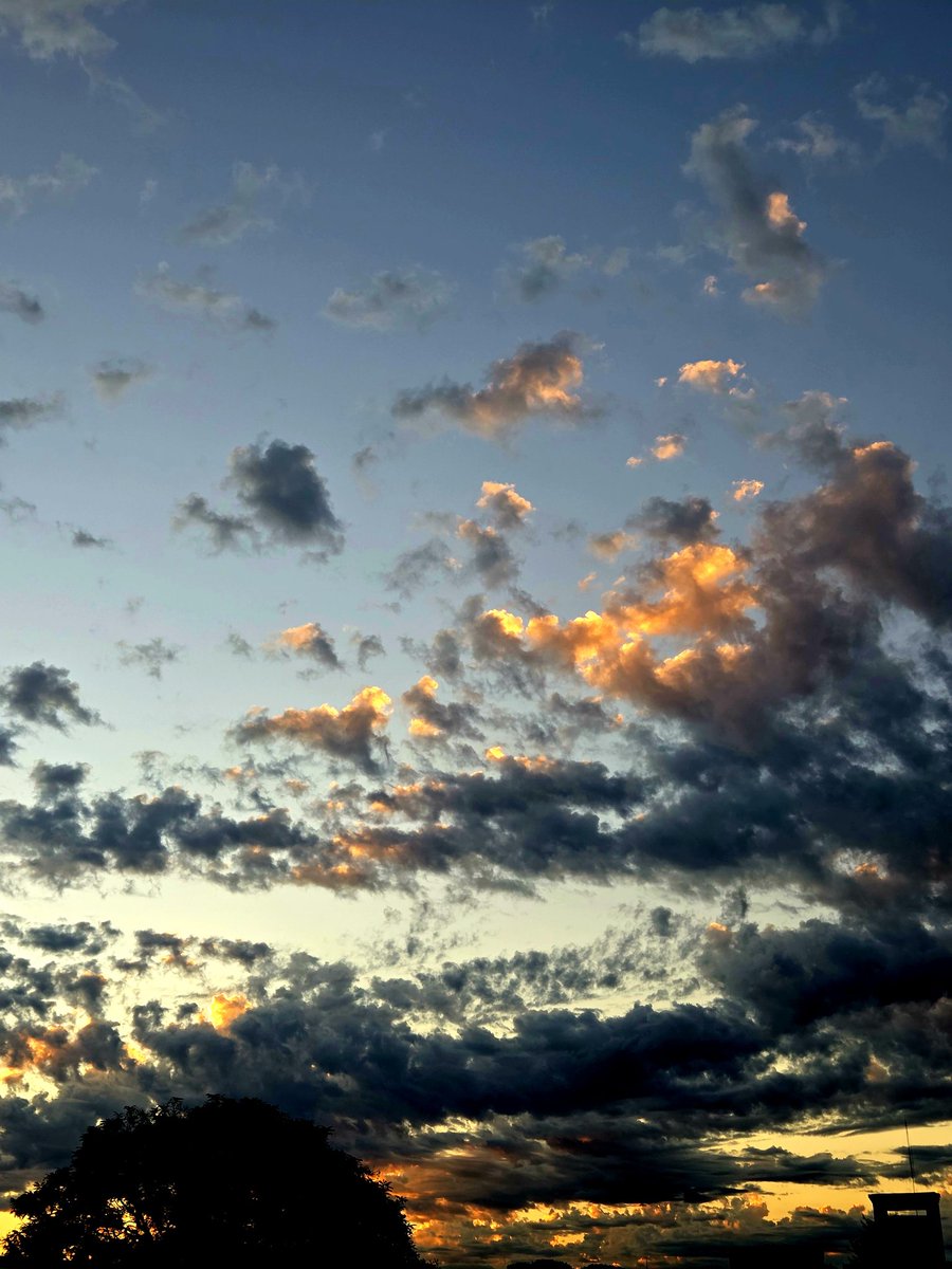 Alejandro David tweet media