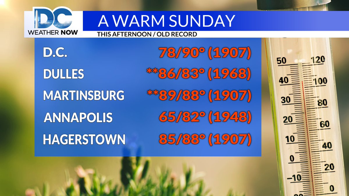 Scott Sumner tweet media