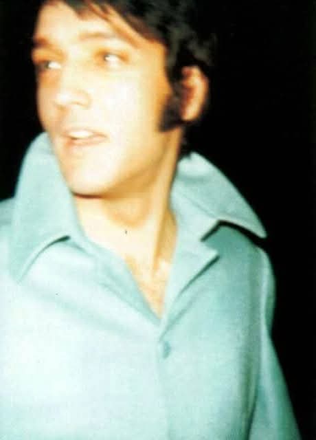 Ginger 🌷🍄 🌈🌷🩷🦋🐞💚🥀🪻🐝🌈🌷🩵 tweet media